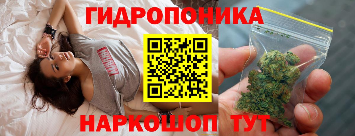 Канабис план  Бошки марихуана AK-47  Семёнов  Вход с VPN  Бошки марихуана OG Kush 